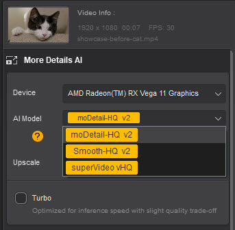 Aiarty Video Enhancer AI models
