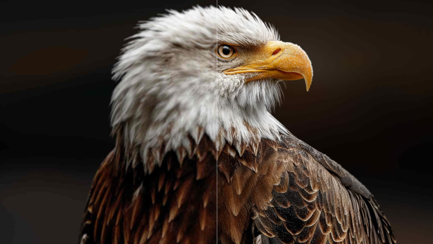 HitPaw Photo Enhancer