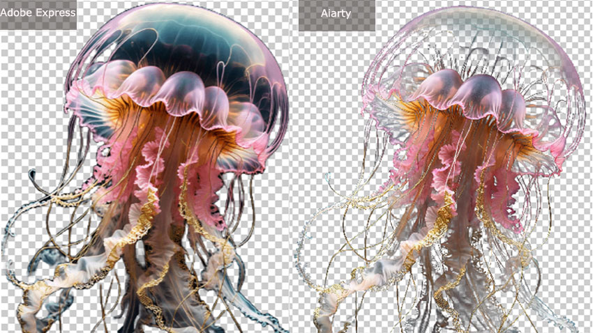 Adobe Express Background Remover vs Aiarty