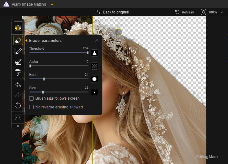 Aiarty Image Matting refinement features