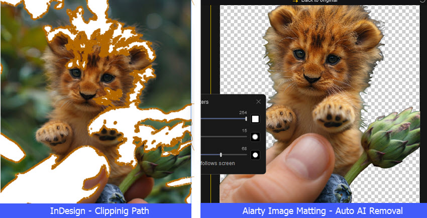 Comparison: Background Removal in InDesign vs Aiarty