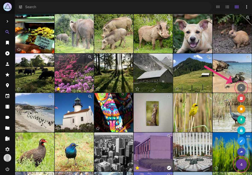 Best photo management software - PhotoPrism