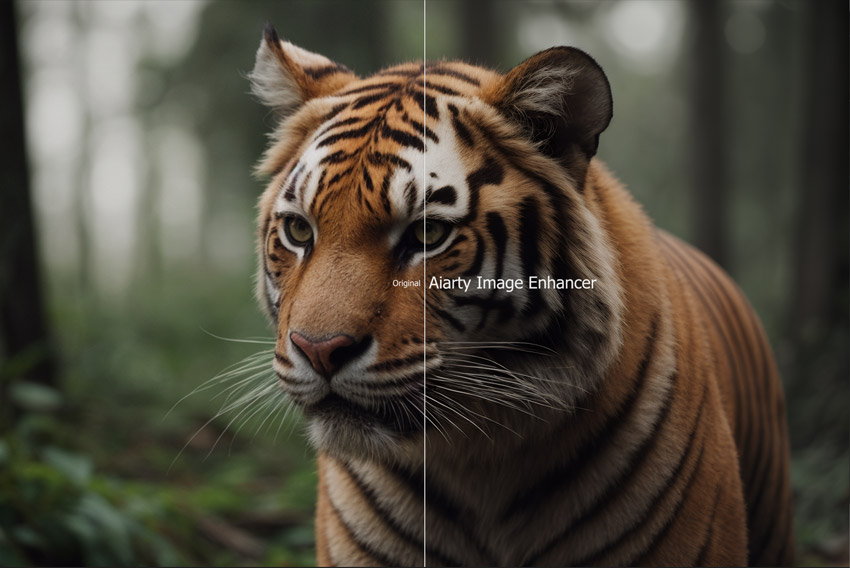Aiarty Image Enhancer Image Comparison